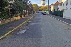 Walder-Alajos-u.-foto-11